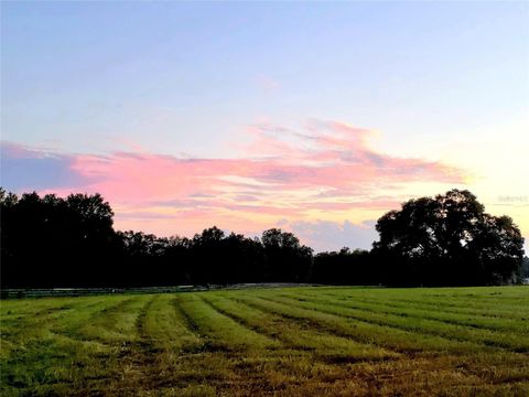 Tiny photo for 1077 SW 144th Court Road, Ocala, FL 34481 (MLS # OM641353)