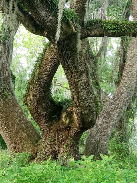 Tiny photo for 1077 SW 144th Court Road, Ocala, FL 34481 (MLS # OM641353)