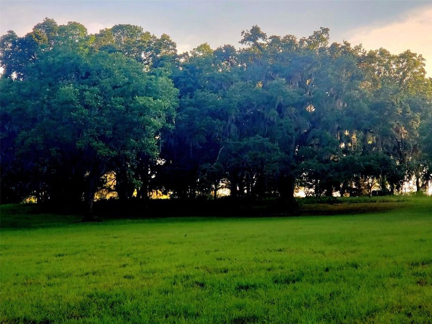 49.51 +/- Acres located just 10 miles from World Equestrian Center located in Phase 2 of Estates of Cotton Plant.    This parcel is currently platted for 3 parcels.   These are draped with Granddaddy Oaks and gently rolling grounds making it the perfect location for your dream farm or home.   Estates of Cotton is a deed restricted equine friendly neighborhood.   Minimum square footage for a residence is 2,800 square feet of living area.   Horses and cattle are allowed.  Property is fenced with 4-board fencing.
