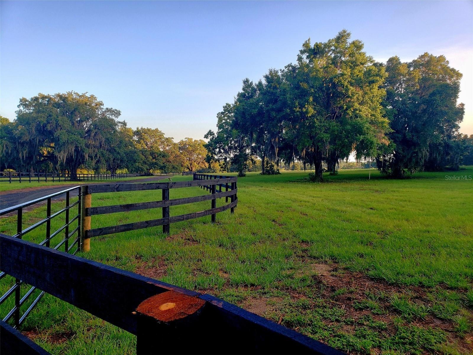 ESTATES AT COTTON PLANT - Land