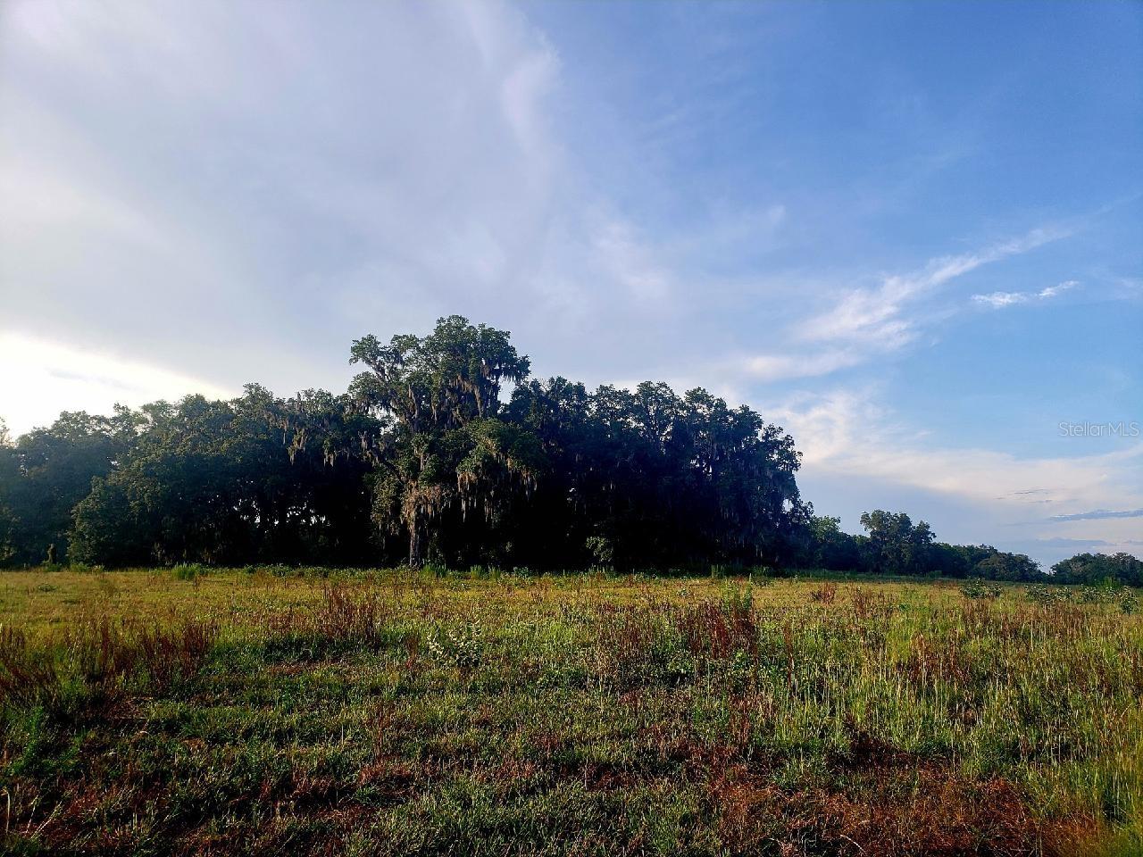 ESTATES AT COTTON PLANT - Land