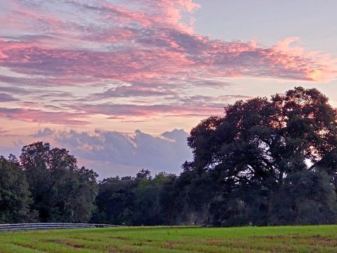 Tiny photo for 1077 SW 144th Court Road, Ocala, FL 34481 (MLS # OM641353)