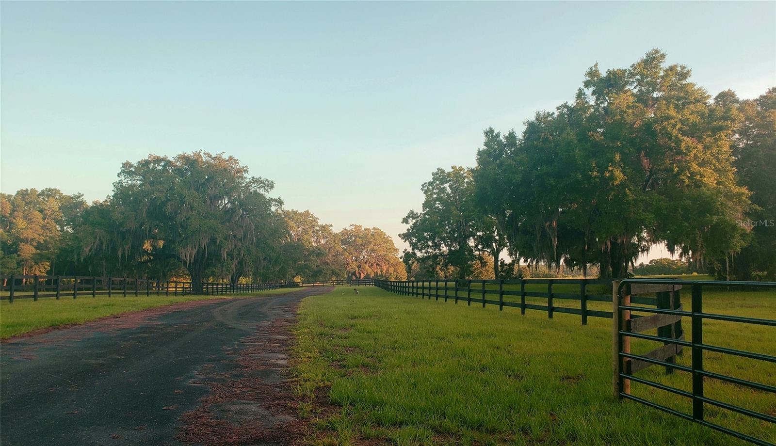 ESTATES AT COTTON PLANT - Land