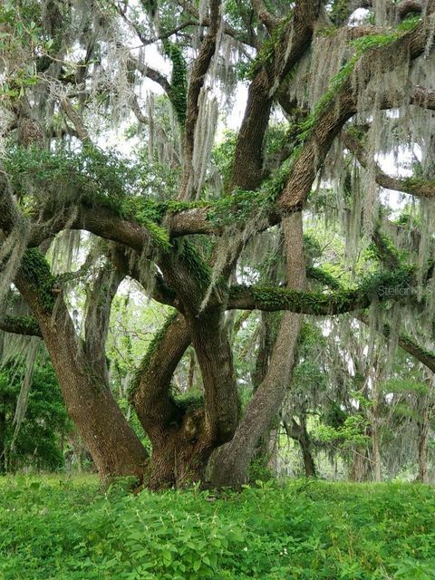 Tiny photo for 1077 SW 144th Court Road, Ocala, FL 34481 (MLS # OM641353)