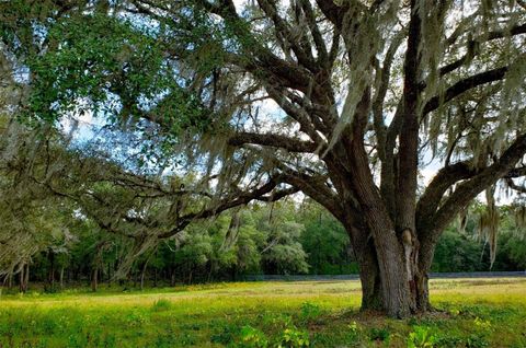 Tiny photo for 1077 SW 144th Court Road, Ocala, FL 34481 (MLS # OM641353)