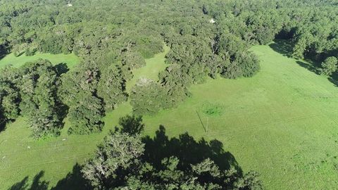 Tiny photo for 1077 SW 144th Court Road, Ocala, FL 34481 (MLS # OM641353)