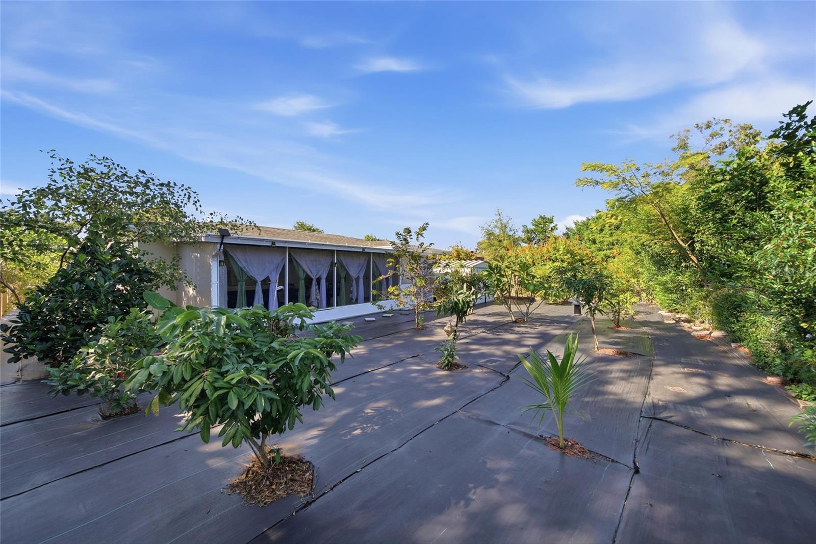 CURLEW CITY - Residential