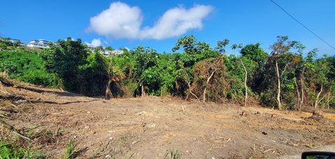 CAMINO MORCELO SAN JUAN  00926