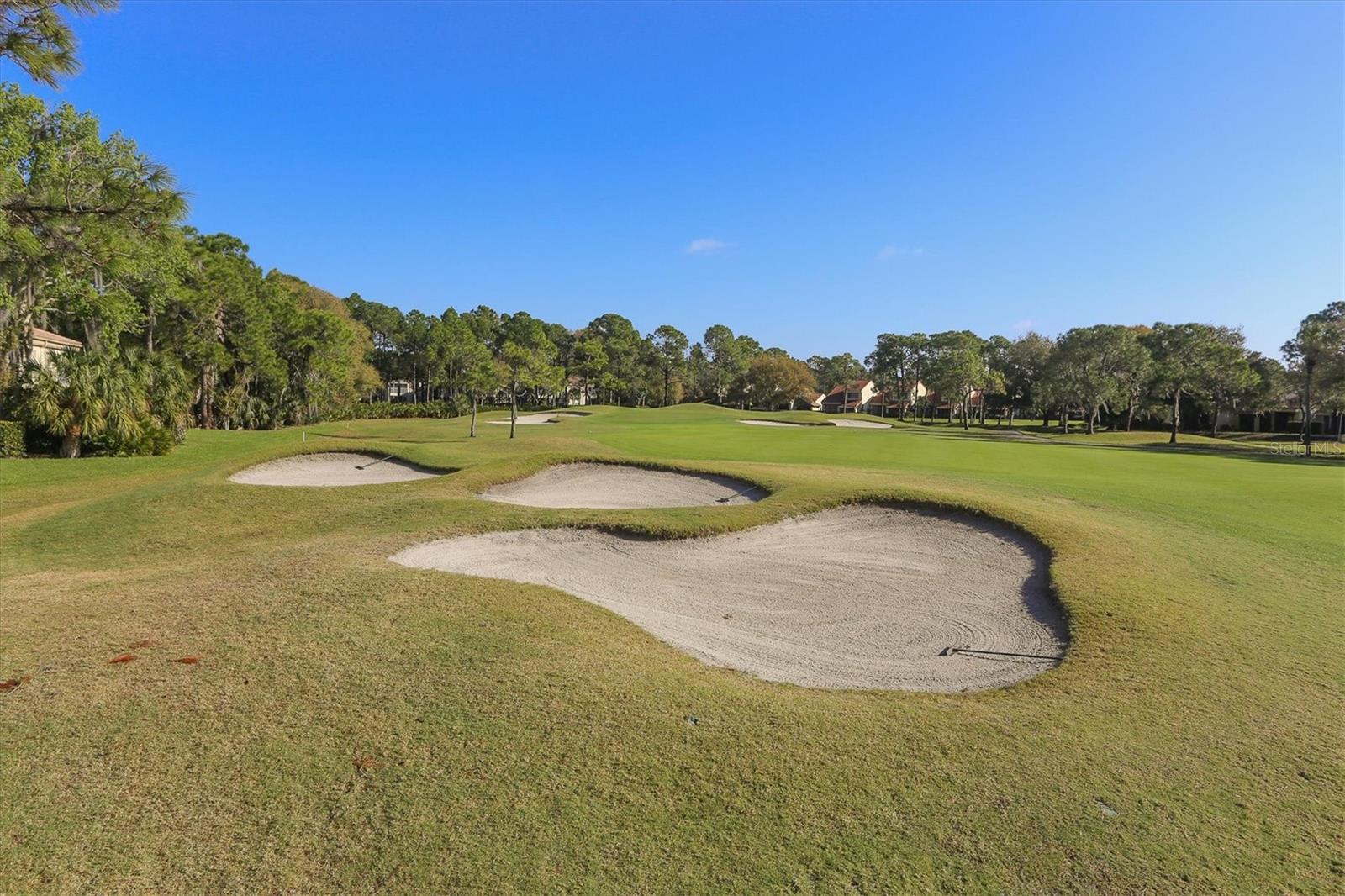 THE MEADOWS - Residential