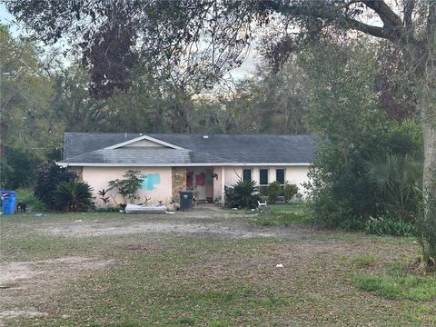 Photo of 3133 Washington Road, Valrico, FL 33594 (MLS # L4951507)