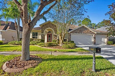 A home in TAMPA