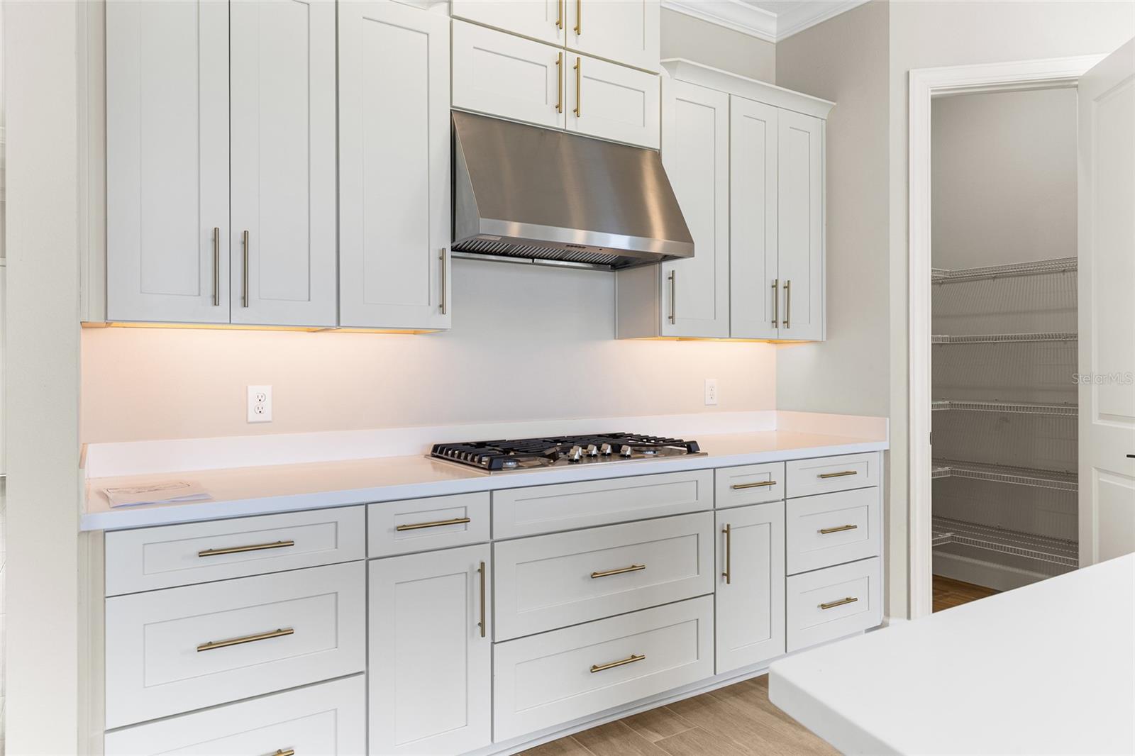 ESPLANADE AT CENTER LAKE RANCH PH 1 - Residential