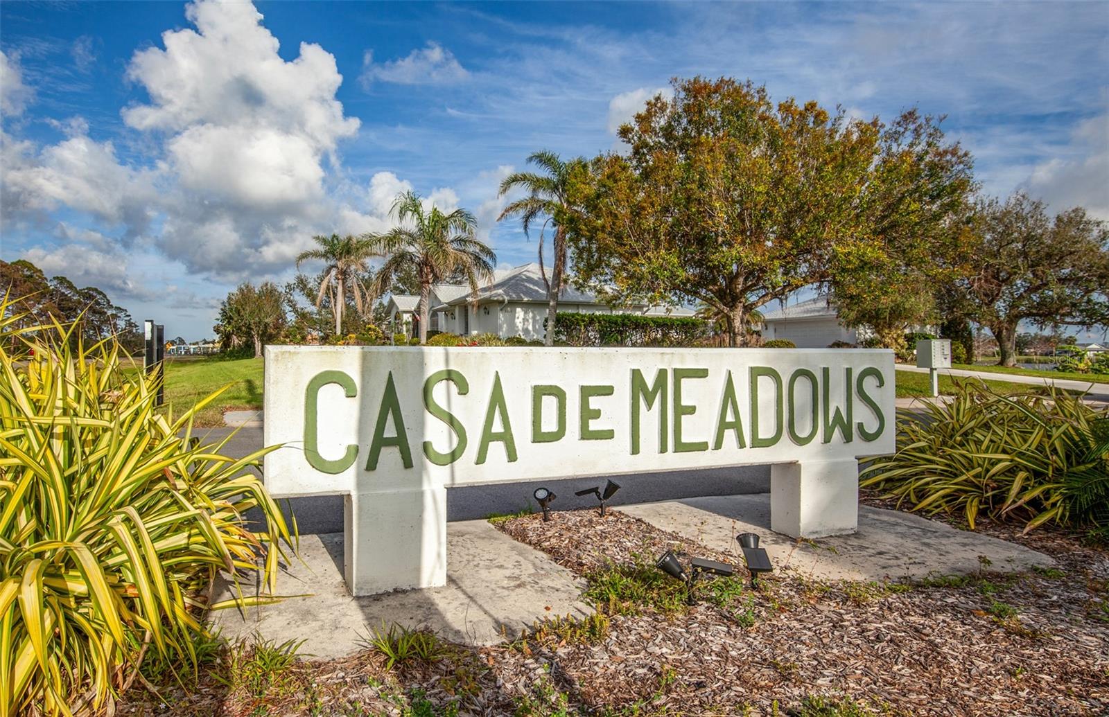 8170 CASA DE MEADOWS DRIVE