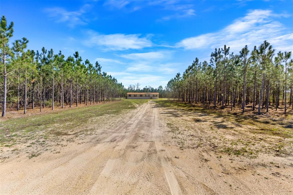 Photo of 20774 78th Trace, Live Oak, FL 32060 (MLS # W7885047)