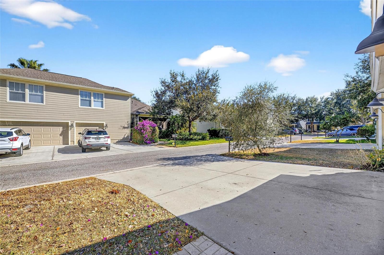 FISHHAWK RANCH TOWNCENTER PHAS - Residential