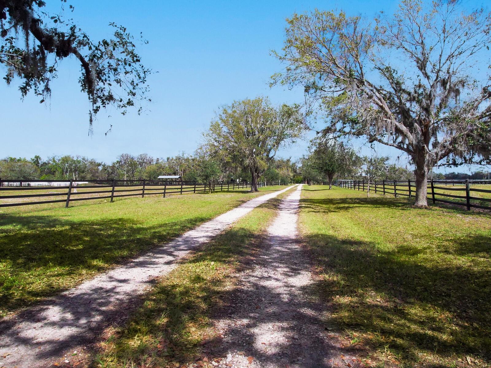 15101 RAWLS ROAD