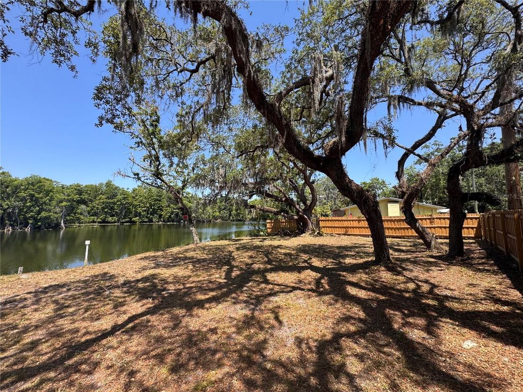 Photo of Harney, Tampa, FL 33617 (MLS # T3542590)