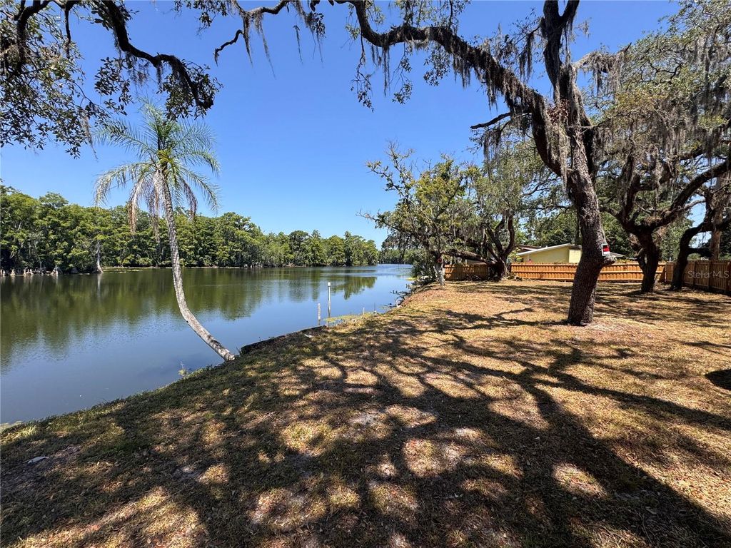 Photo of Harney, Tampa, FL 33617 (MLS # T3542590)