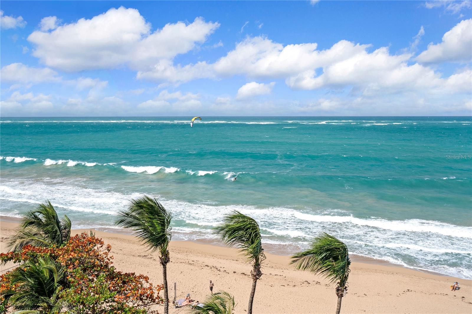 CARRION COURT PLAYA - Residential