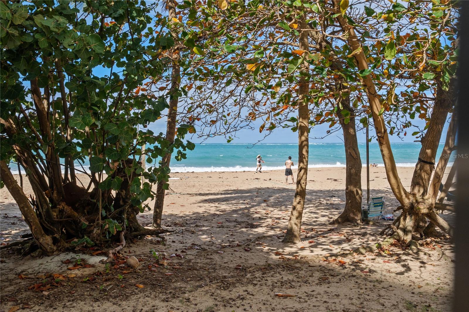 CARRION COURT PLAYA - Residential