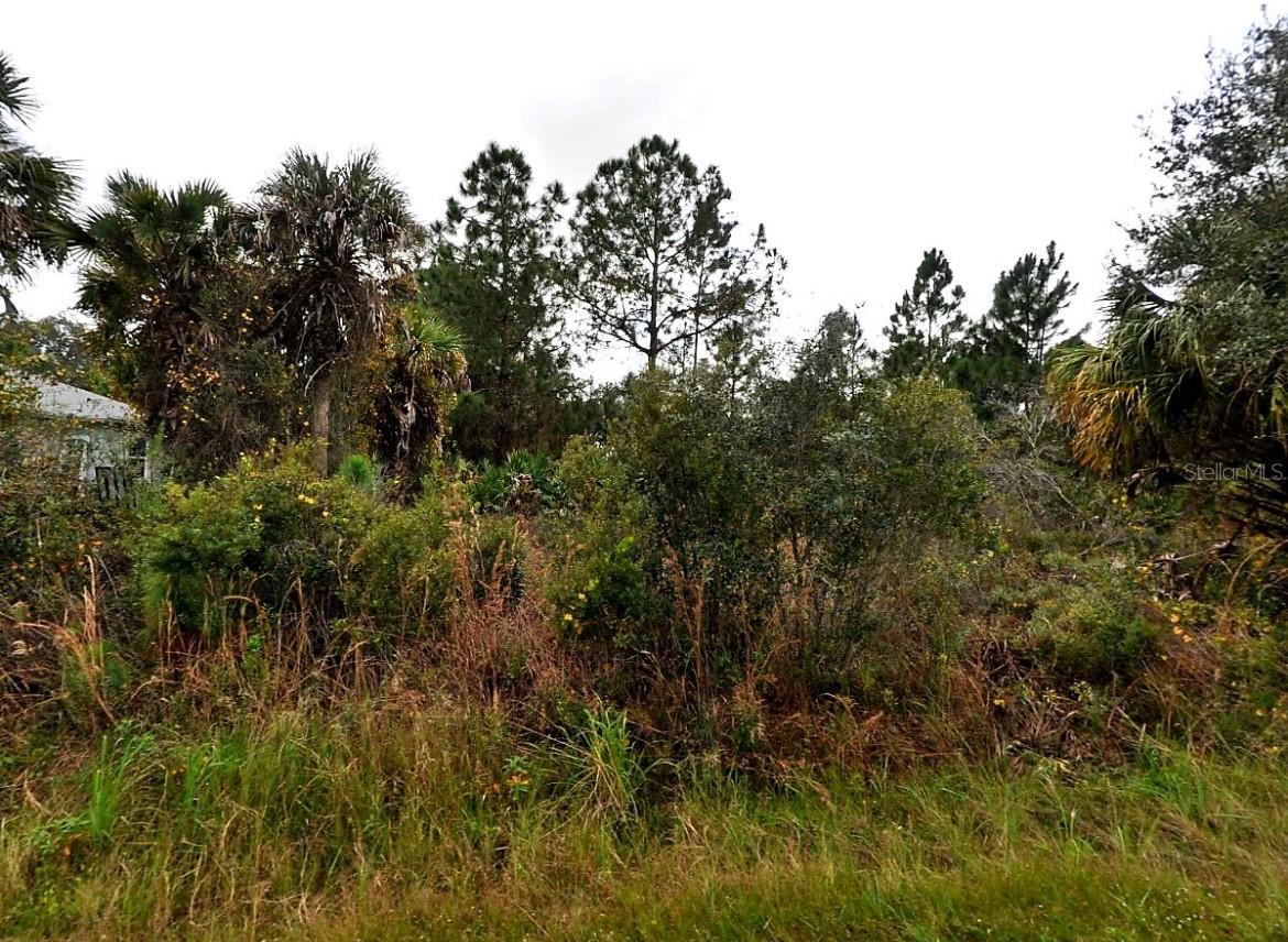 PORT CHARLOTTE SUB 14 - Land