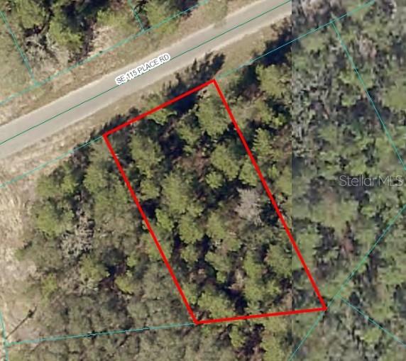 Welcome to your slice of paradise! With no HOA and paved roads, this is the perfect opportunity to build a custom home on this large lot that is a road off the main entrace to the area. It is conveniently located near Moss Bluff, with a public boat ramp just a stone's throw away. Take your boat out to explore or enjoy water sports on these pristine waters. Surrounded by natural beauty, you'll enjoy endless outdoor recreation opportunities—from hiking, camping, and ATV trails to scenic horseback riding through miles of Ocala National Forest.You'll also love the proximity to local hotspots like Gator Joe's and The Dam Diner, perfect for a bite to eat after a day of adventure.