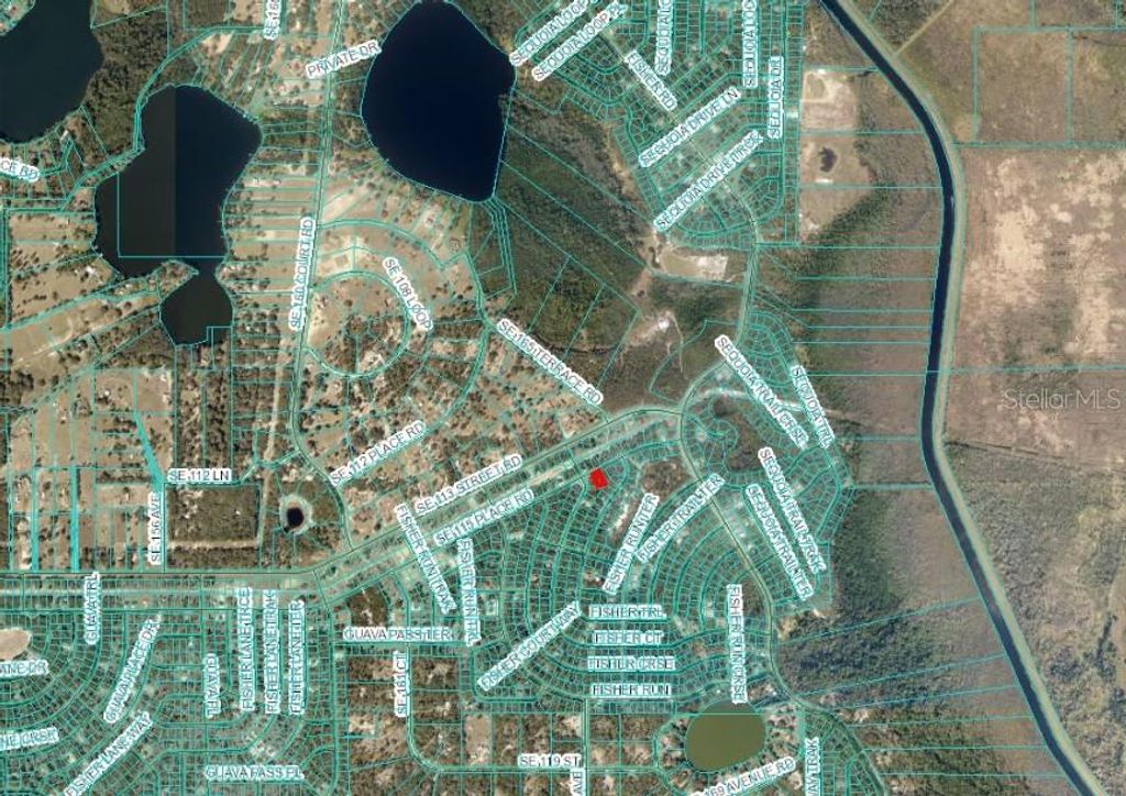 Photo of SE 115 Place Rd, Ocklawaha, FL 32179 (MLS # OM704420)