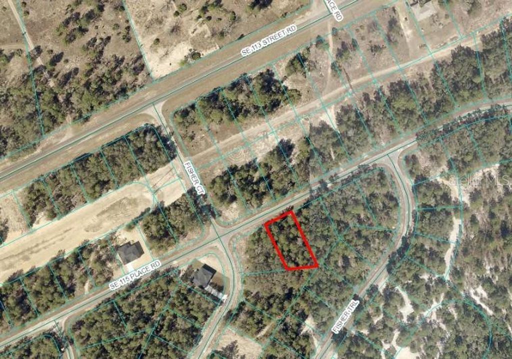 Photo of SE 115 Place Rd, Ocklawaha, FL 32179 (MLS # OM704420)