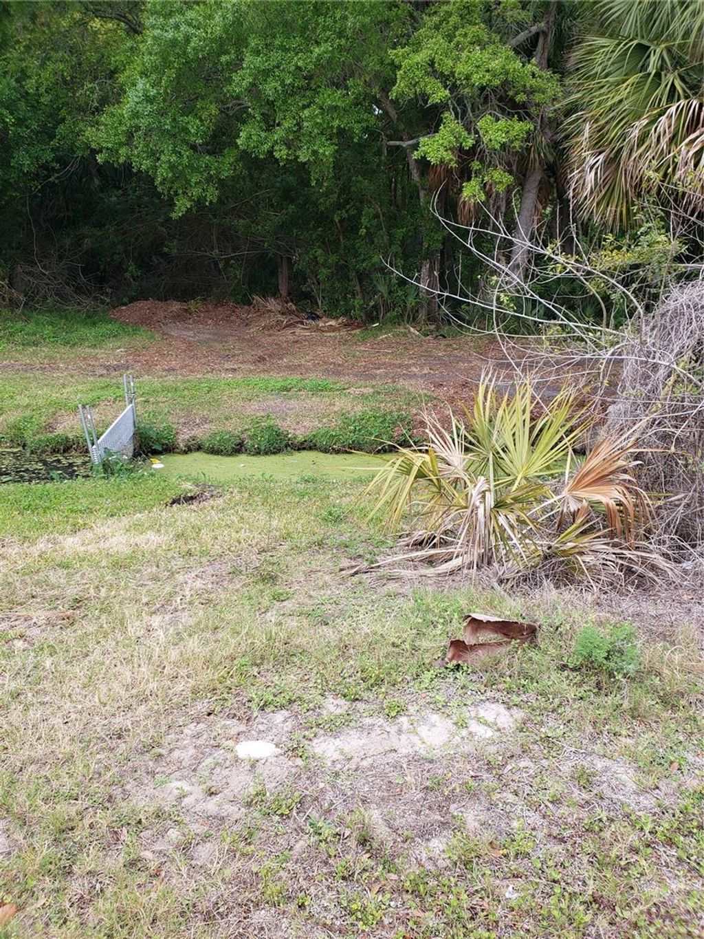 Photo of Grosse Avenue, Tarpon Springs, FL 34689 (MLS # TB8492360)