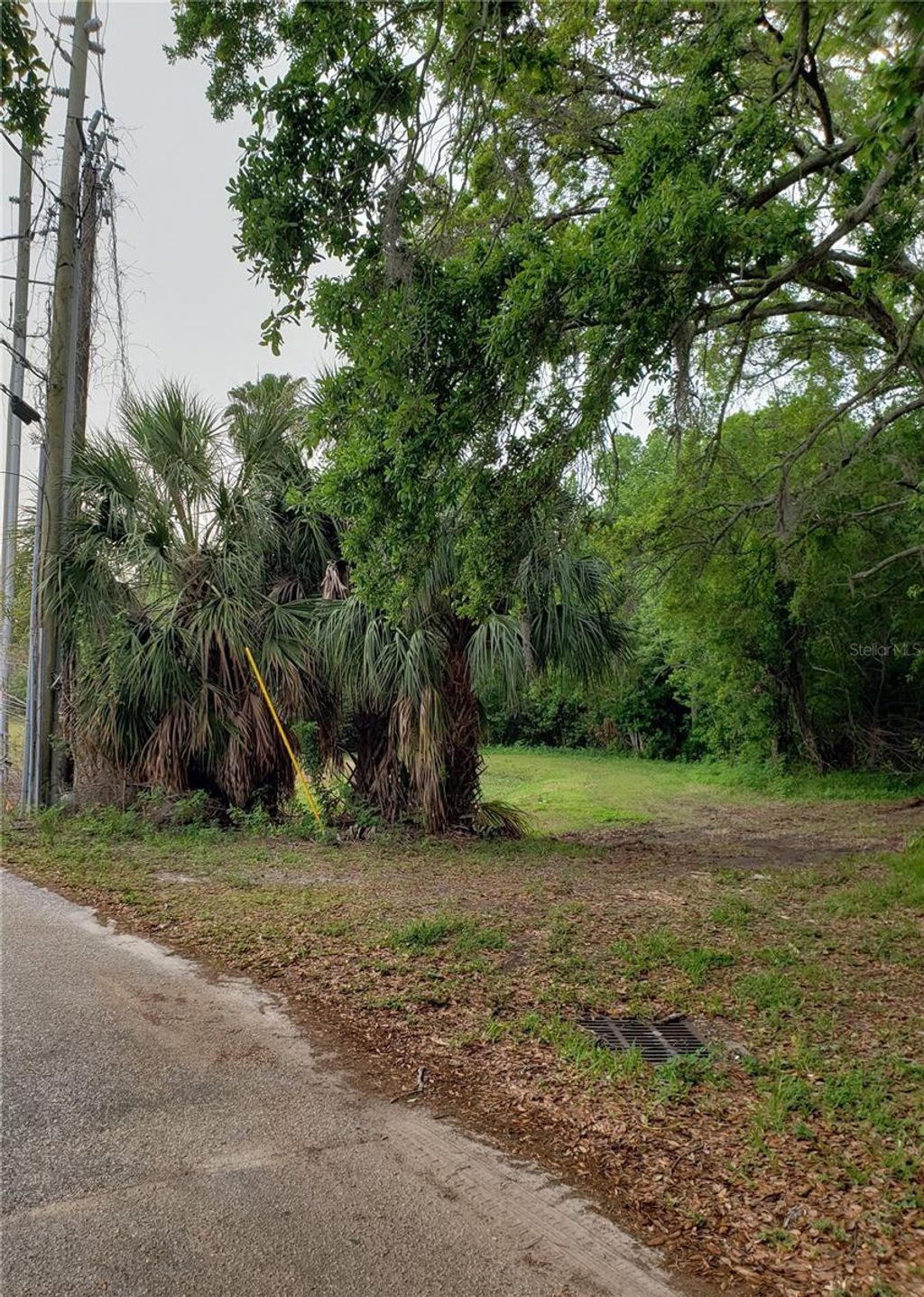 Photo of Grosse Avenue, Tarpon Springs, FL 34689 (MLS # TB8492360)