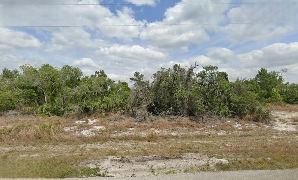 Photo of 1348 Aleutian Street NE, Lake Placid, FL 33852 (MLS # O6287172)