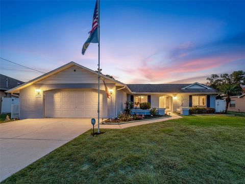 11225 ROMAN STREET SPRING HILL FL 34609