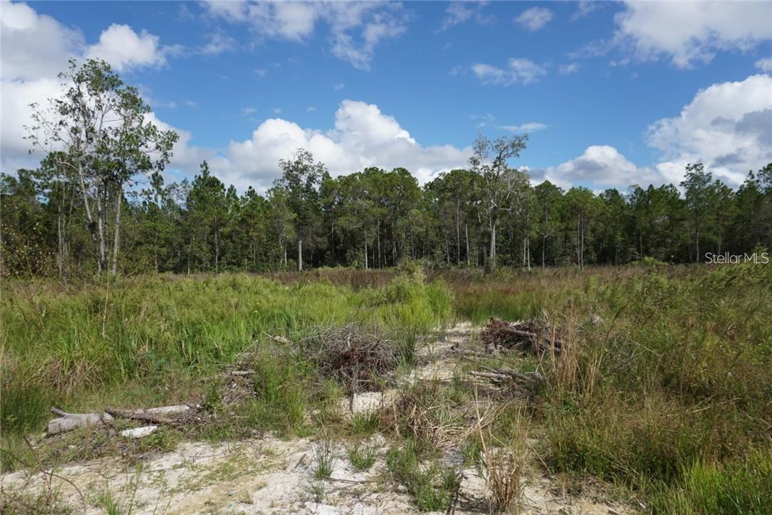 10 ACRE LOT FOR SALE. This partially cleared land is in a quiet, rural, and private area.; Cleared: Partial