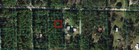 00 NE 67TH AVENUE CITRA FL 32113