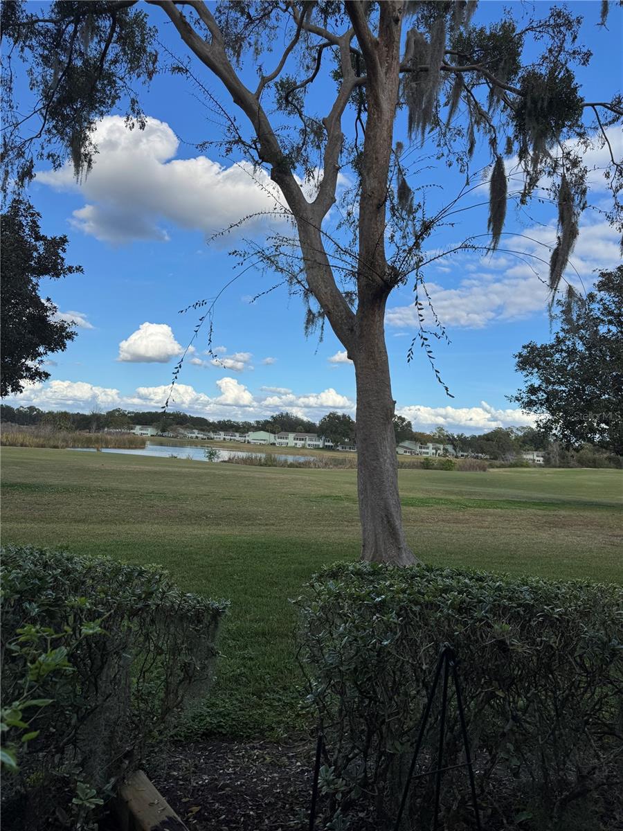 FAIRWAYS/SILVER SPGS SHORES CO - Residential