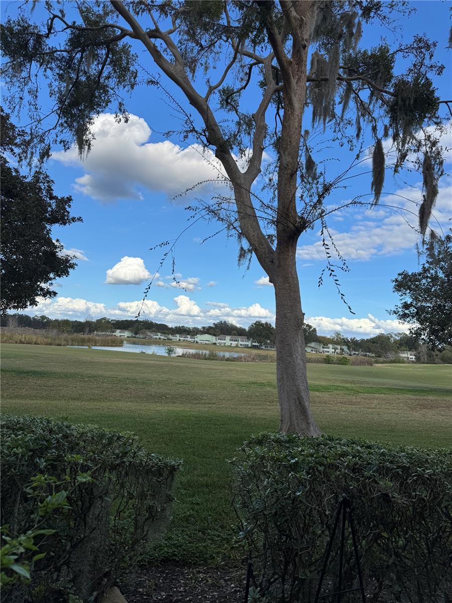 FAIRWAYS/SILVER SPGS SHORES CO - Residential