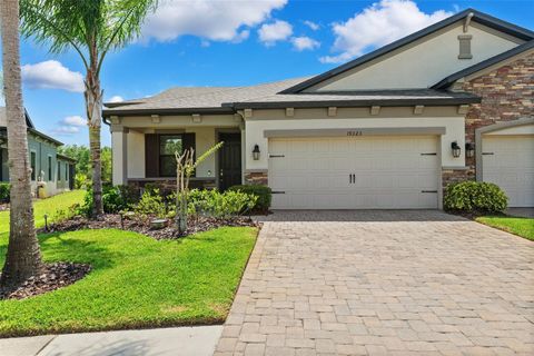 19323 HAWK VALLEY DRIVE TAMPA FL 33647