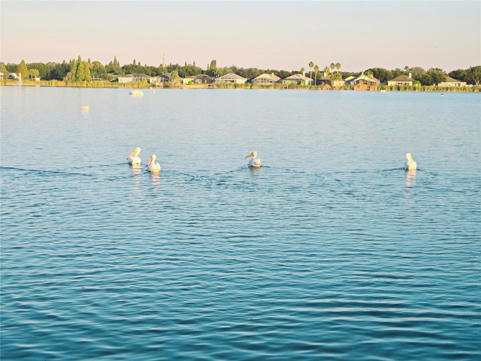 LAKE ST CHARLES UNIT 4 - Residential