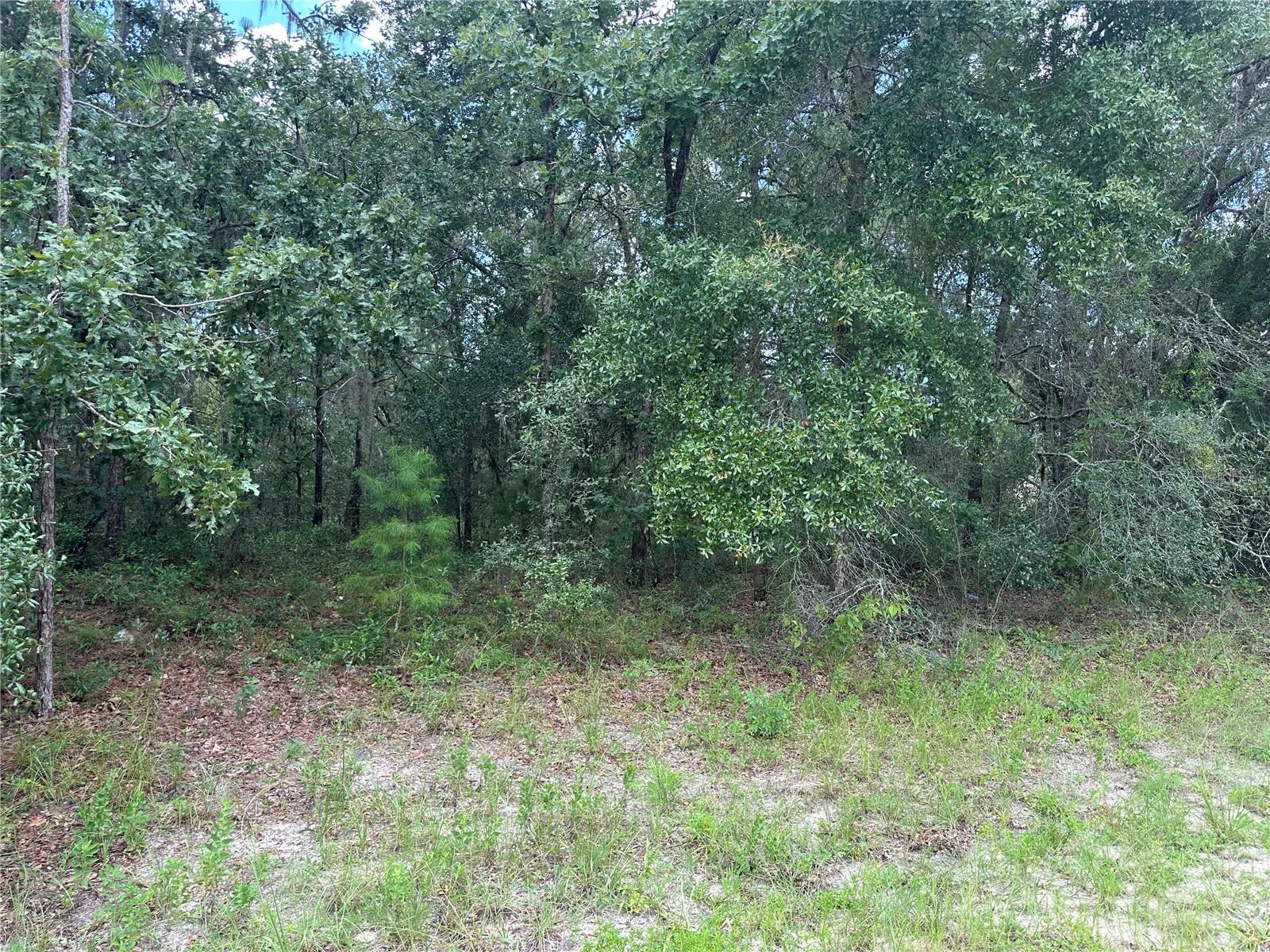 TBD SW 144TH ST RD