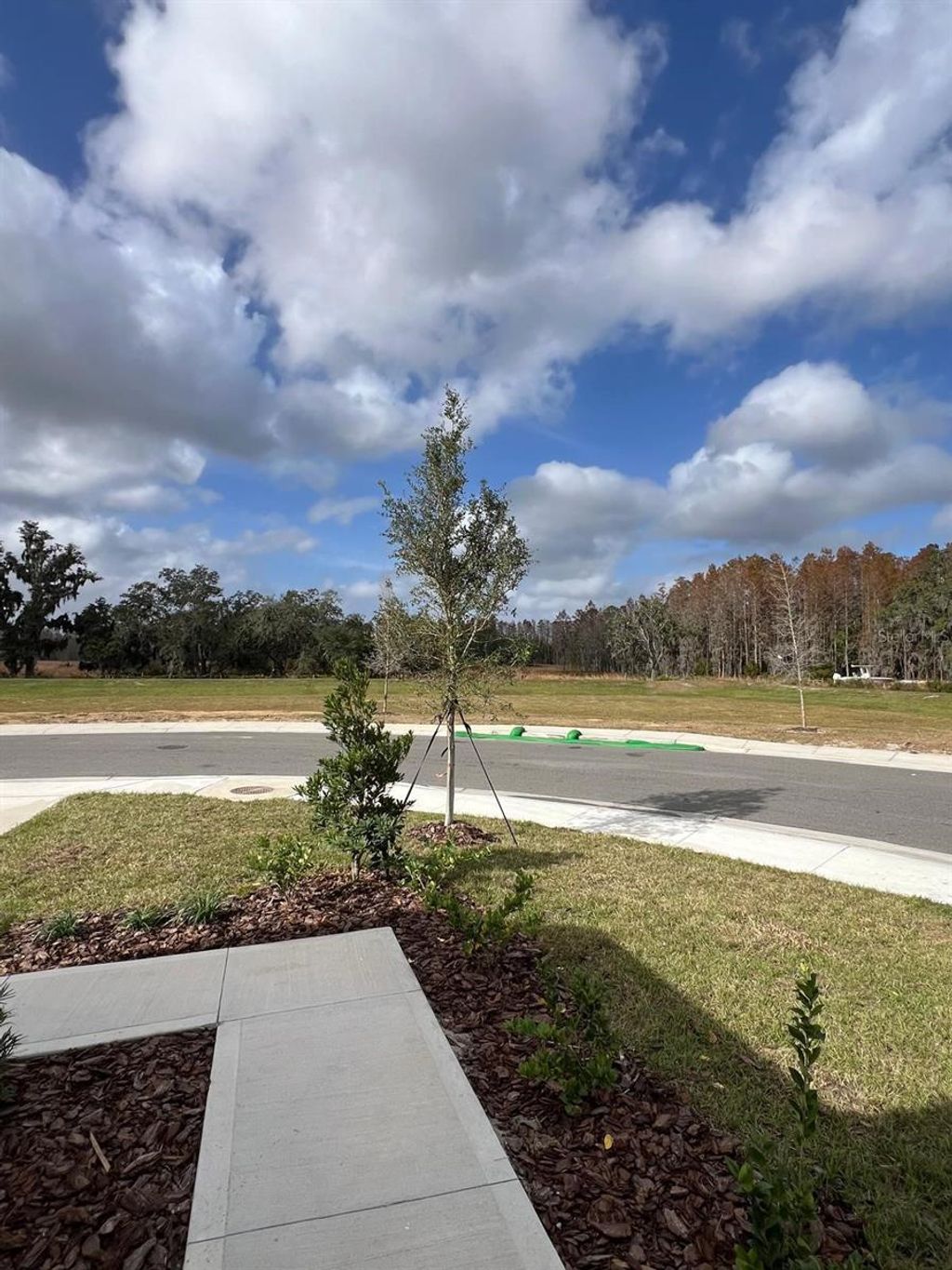 Photo of 675 Park Place Boulevard, Davenport, FL 33837 (MLS # O6390672)