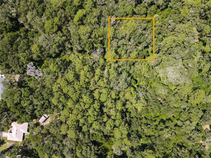 With so much to love about West Volusia, don't miss the opportunity to own an OVERSIZED lot in beautiful Orange City, FL! This lot is over twice the required size to build and would make a great future investment. BACK ON THE MARKET DUE TO BUYER FAILING TO PERFORM TWICE.