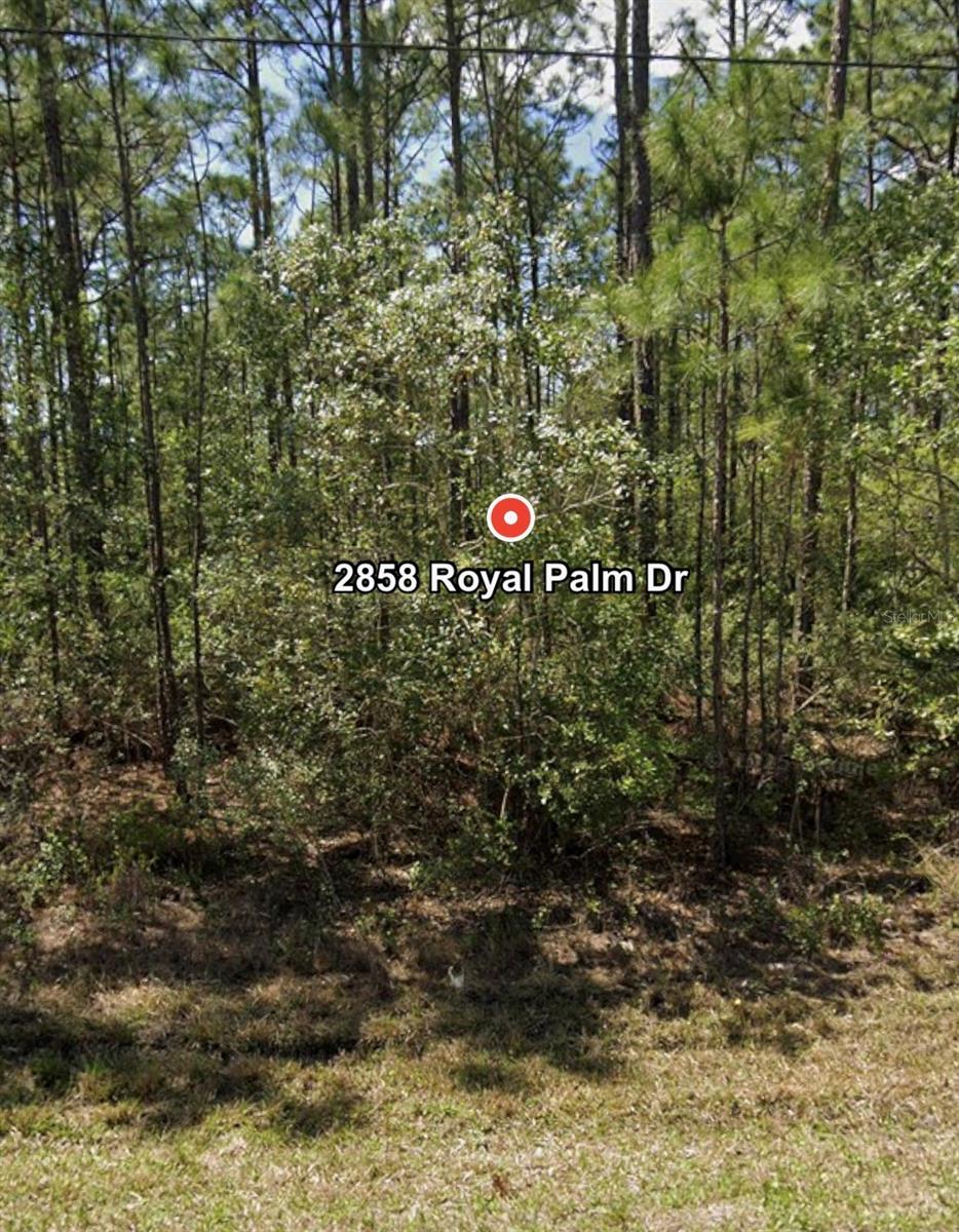 DAYTONA NORTH SUB - Land