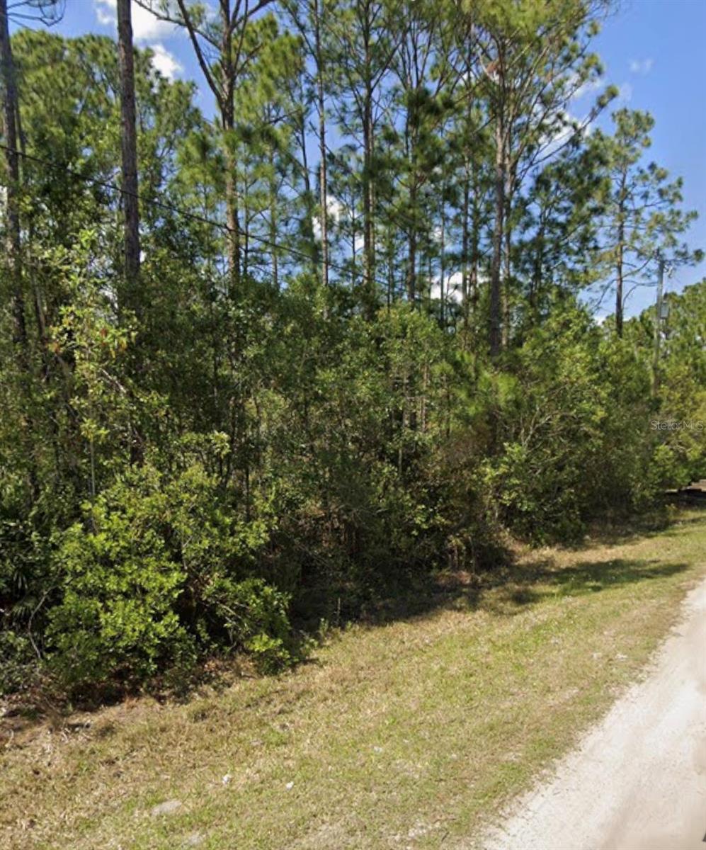 DAYTONA NORTH SUB - Land