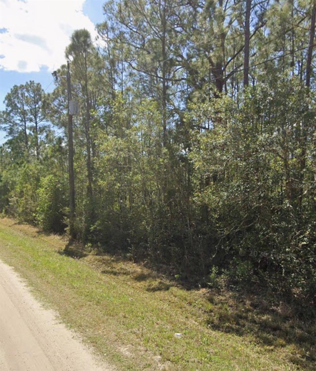 DAYTONA NORTH SUB - Land