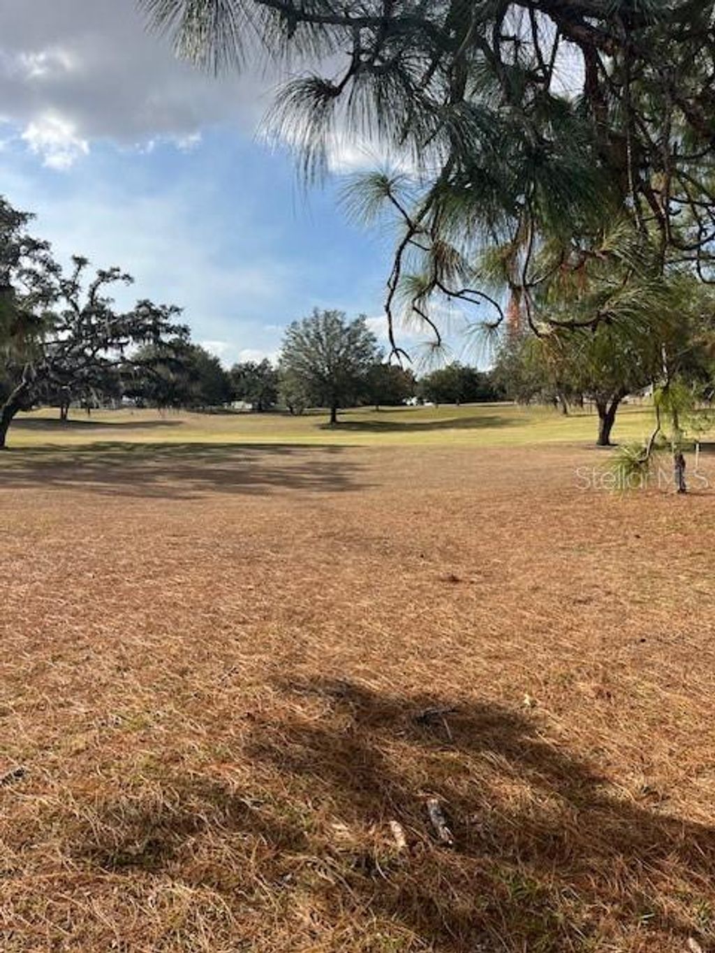 Photo of 2815 N Brentwood Circle, Lecanto, FL 34461 (MLS # W7870575)