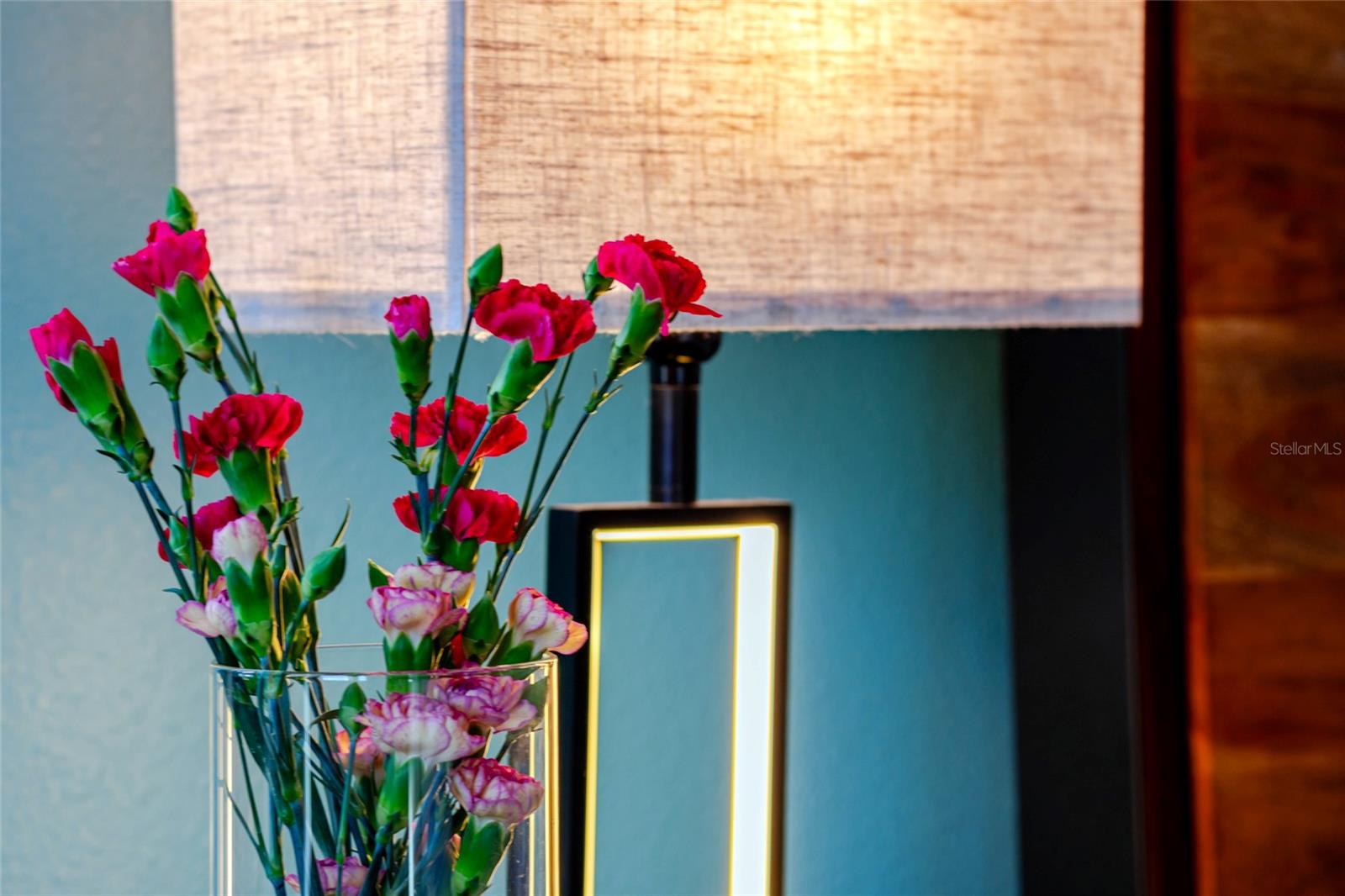 ENCORE AT OVATION - Residential