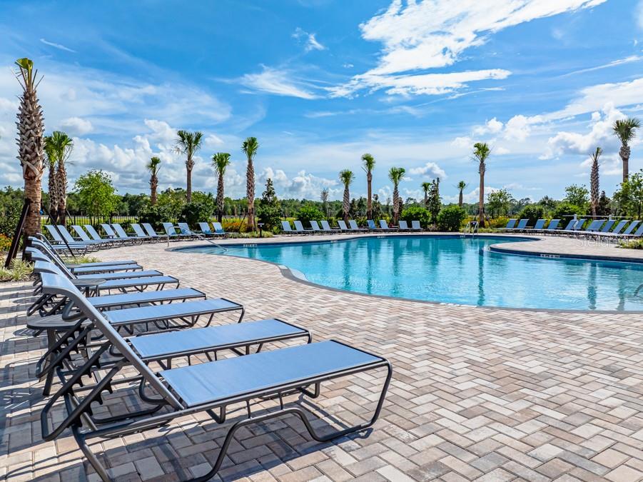 PALM WIND - Residential