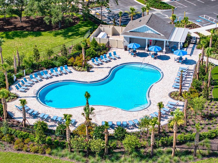 PALM WIND - Residential