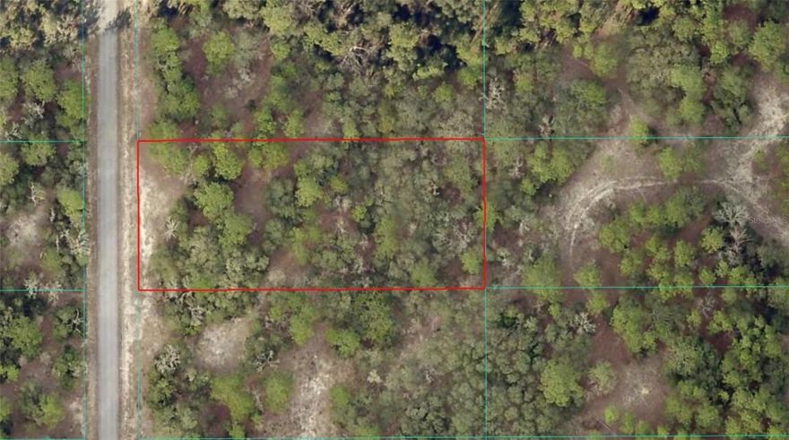 High and dry, buildable 1.01-acre lot located in Rainbow Lakes Estates. No HOA and deed-restricted to site-built homes only (no mobile homes). Enjoy a peaceful setting with plenty of space to build your custom home while still being conveniently located to nearby amenities.