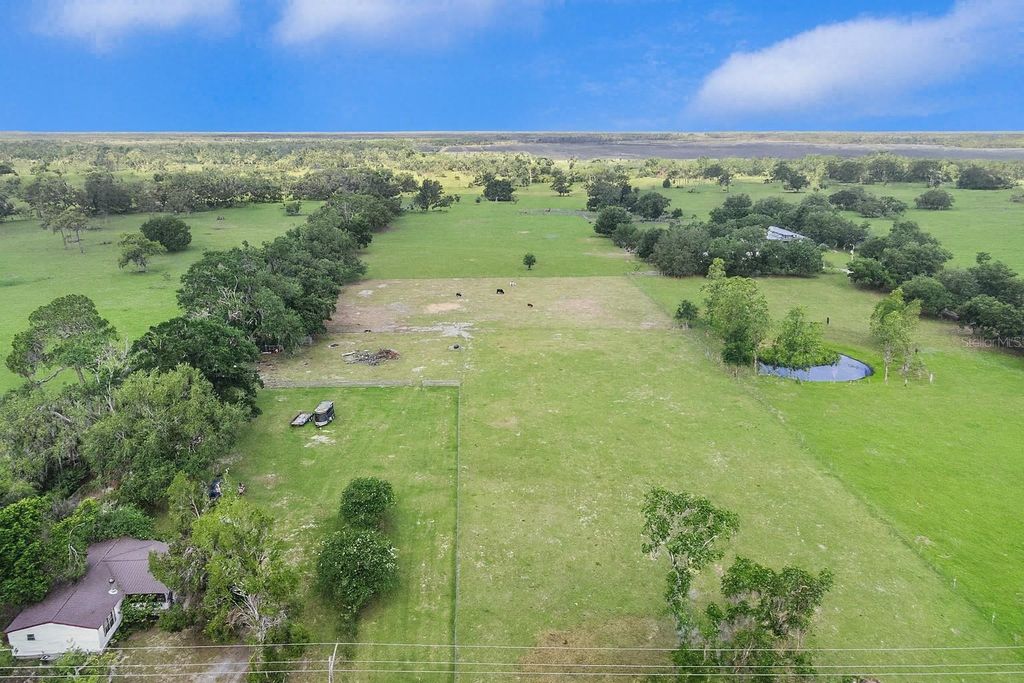 Photo of 16037 S County Road 39, Lithia, FL 33547 (MLS # TB8377134)